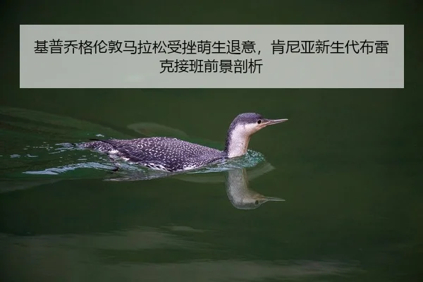 基普乔格伦敦马拉松受挫萌生退意，肯尼亚新生代布雷克接班前景剖析