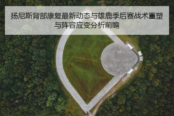 扬尼斯背部康复最新动态与雄鹿季后赛战术重塑与阵容应变分析前瞻